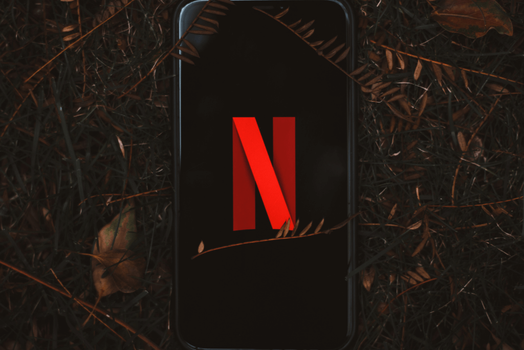 netflix - the best mobile app for movies and shows 